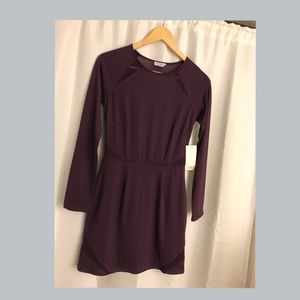 NWT Tobi Mesh Back Mini Dress
